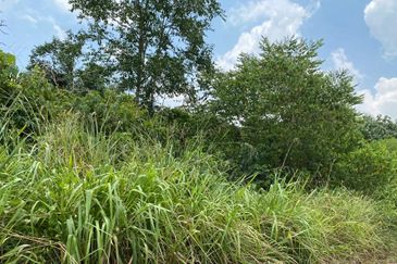 Johor @ Ulu Tiram 5.5 Acres Agricultural Land For Sale