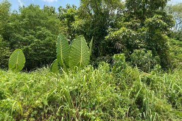 Johor @ Ulu Tiram 5.5 Acres Agricultural Land For Sale