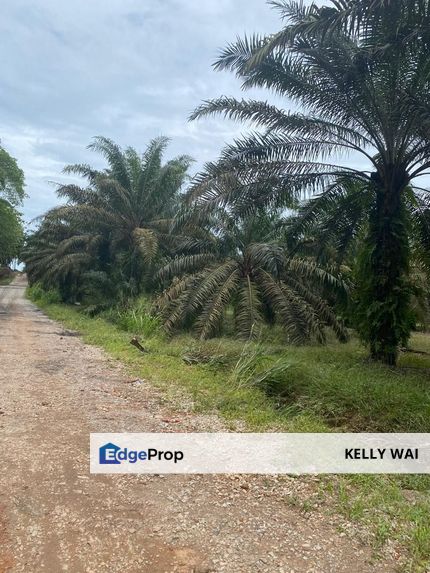 Johor @ Kota Tinggi 9.5 Acres Agricultural Land For Sale, Johor, Ulu Tiram