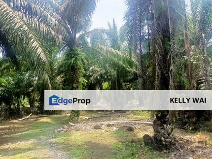 Johor @ Kota Tinggi 12.8 Acres Agricultural Land For Sale, Johor, Ulu Tiram