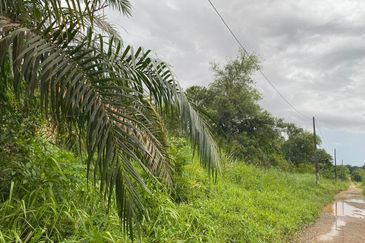 Kawasan Perindustrian Seelong