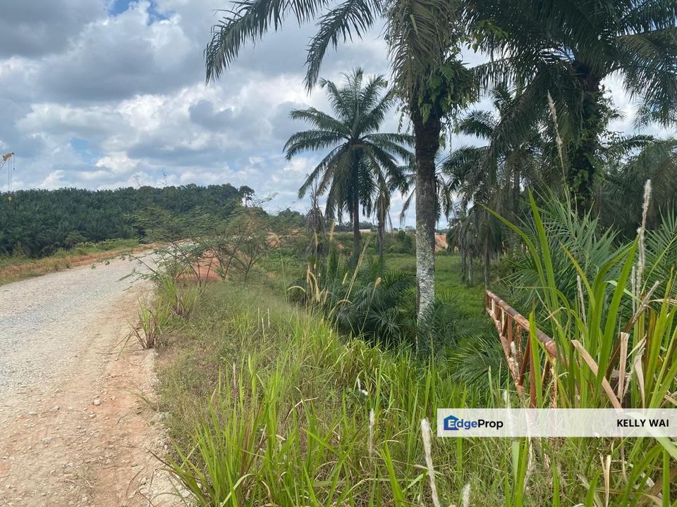 Johor @ Seelong 16.843 Acres Agricultural Land For Sale, Johor, Senai