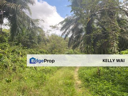 Johor @ Seelong 16.843 Acres Agricultural Land For Sale, Johor, Senai