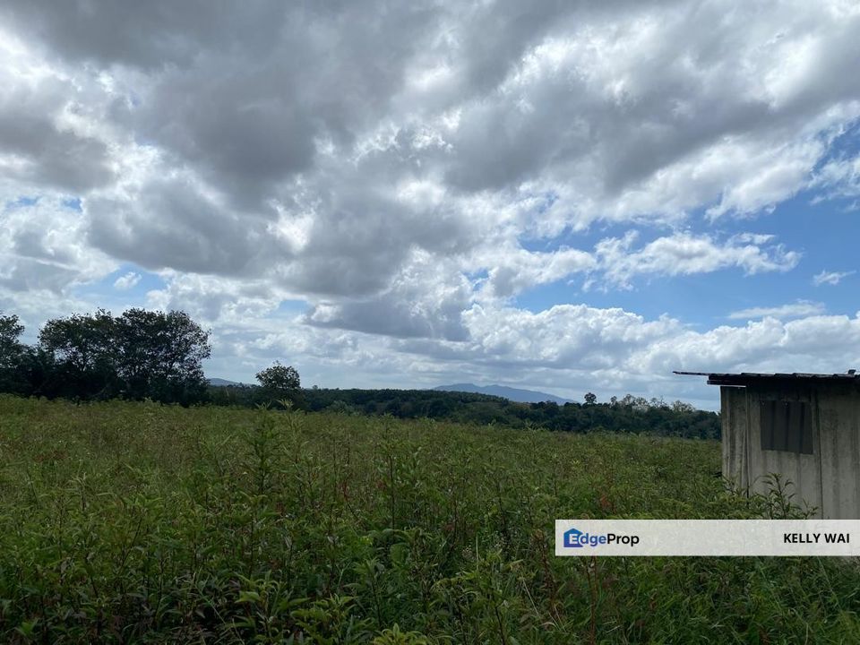 Johor @ Senai 6.35 Acres Agricultural Land For Sale, Johor, Kulai