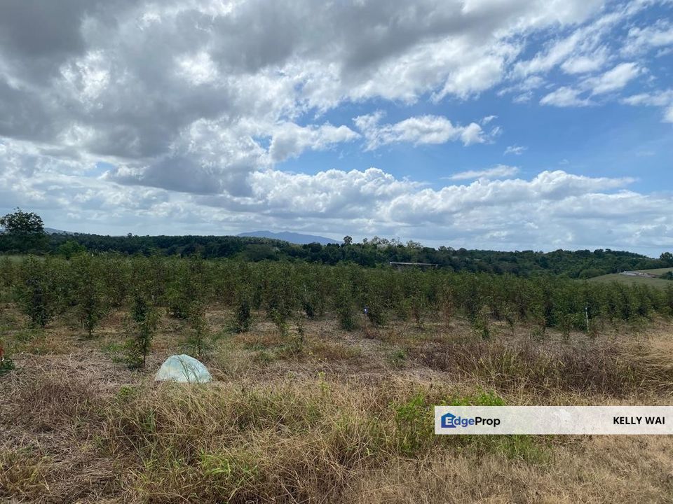 Johor @ Senai 6.35 Acres Agricultural Land For Sale, Johor, Kulai