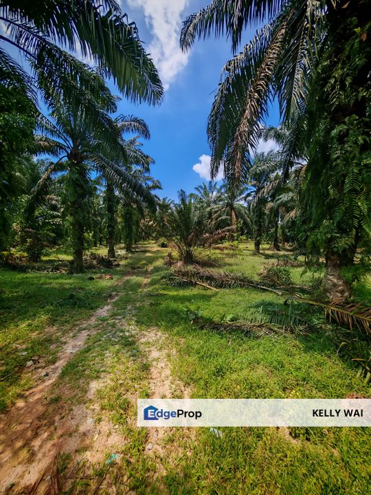 Johor @ Senai 5.3 Acres Agricultural Land For Sale, Johor, Kulai