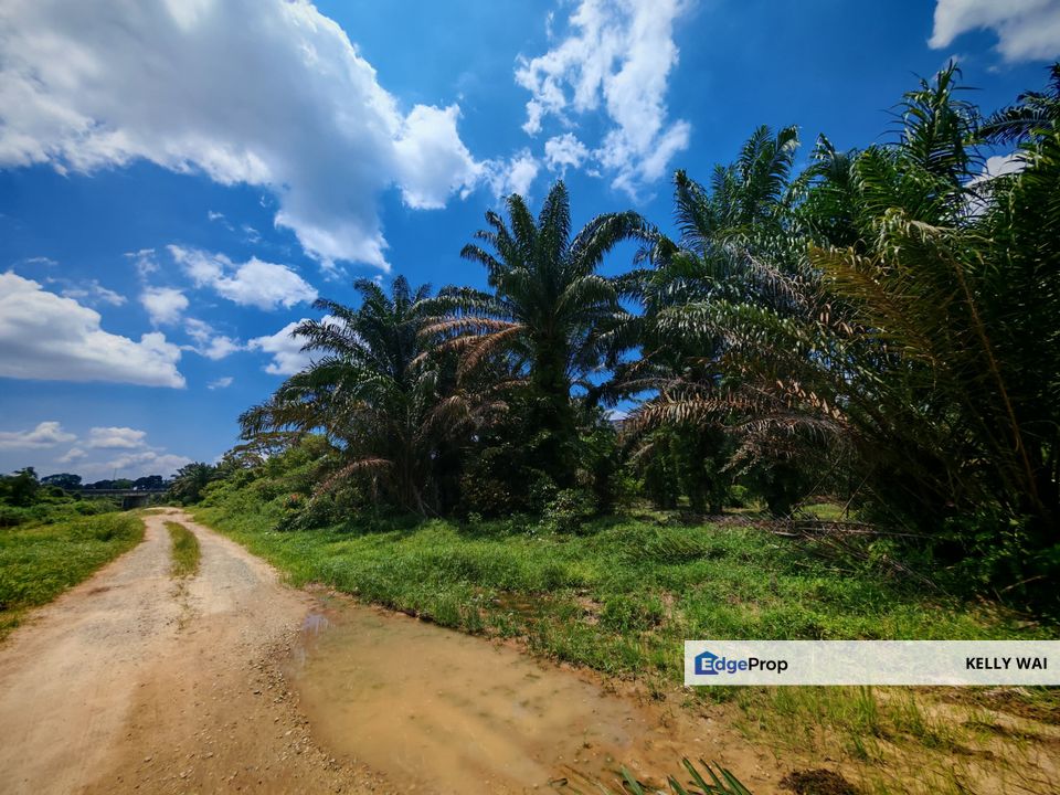Johor @ Senai 5.3 Acres Agricultural Land For Sale, Johor, Kulai