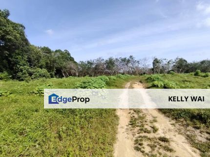 Johor @ Gelang Patah Agricultural Land For Sale, Johor, Gelang Patah