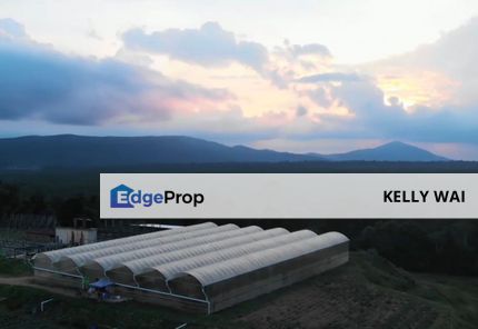 Kuala Sedili, Mawai @ Kota Tinggi 83 acre Agricultural land For Sale, Johor, Ulu Tiram