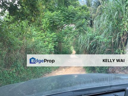 Johor @ Sungai Tiram 7 Acres Agricultural Land For Sale, Johor, Ulu Tiram