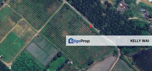 Johor @ Sungai Tiram 32.8 Acres Agricultural Land For Sale , Johor, Ulu Tiram