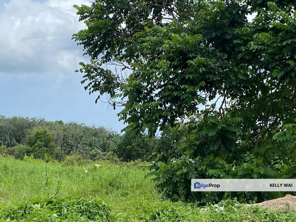 Johor @ Sungai Tiram 13.8 Acres Medium Industrial Land For Sale , Johor, Ulu Tiram