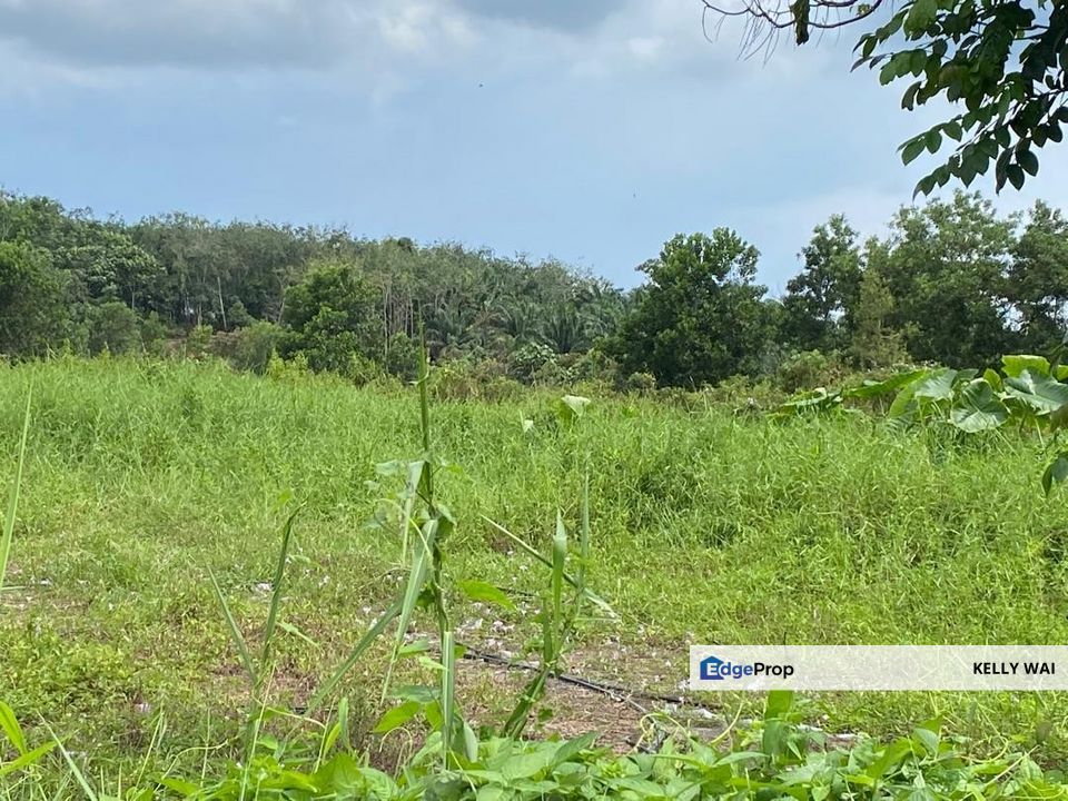 Johor @ Sungai Tiram 13.8 Acres Medium Industrial Land For Sale , Johor, Ulu Tiram