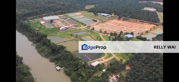 Mawai @ Kota Tinggi 83 Acres Tourism Farm For Sale, Johor, Ulu Tiram
