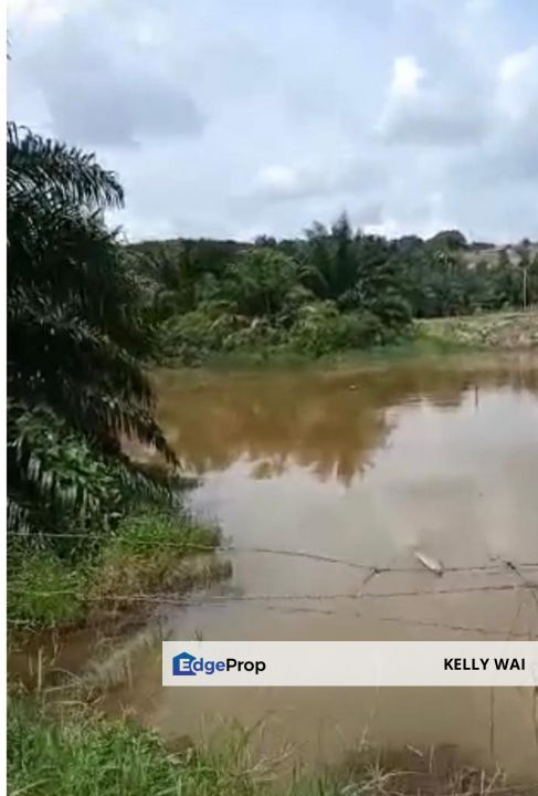 Johor @ Muar 491 Acres Agricultural Land For Sale, Johor, Muar