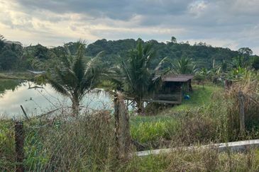 Jalan Permatang @ Jalan Kempas Baru 1.08 Acres Agricultural Land For Sale