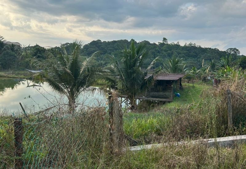 Jalan Permatang @ Jalan Kempas Baru 1.08 Acres Agricultural Land For Sale