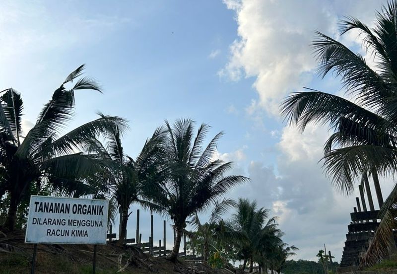 Jalan Permatang @ Jalan Kempas Baru 1.08 Acres Agricultural Land For Sale