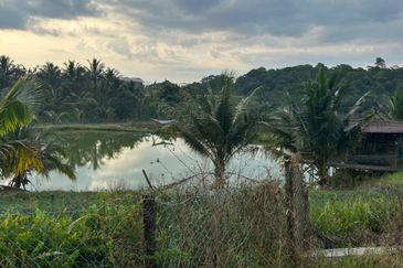 Jalan Permatang @ Jalan Kempas Baru 1.08 Acres Agricultural Land For Sale