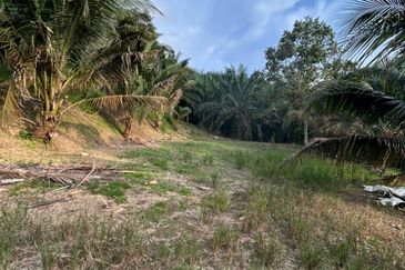 Jalan Permatang @ Jalan Kempas Baru 1.08 Acres Agricultural Land For Sale