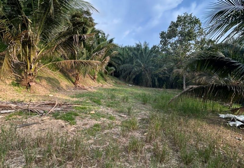 Jalan Permatang @ Jalan Kempas Baru 1.08 Acres Agricultural Land For Sale