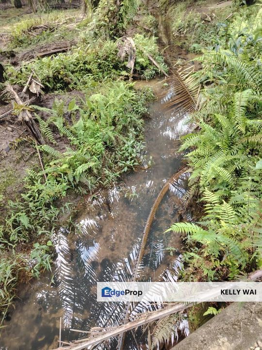 Sedenak @ Kulai 20 Acres Agricultural Land For Sale, Johor, Kulai