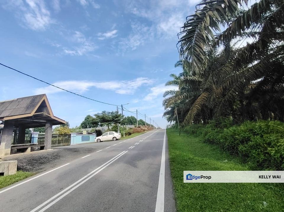 Sedenak @ Kulai 20 Acres Agricultural Land For Sale, Johor, Kulai