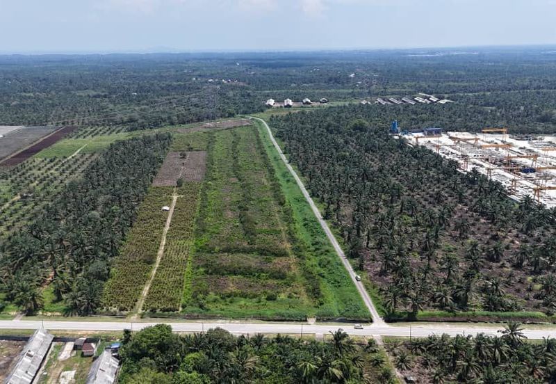 Pekan Nanas Industrial