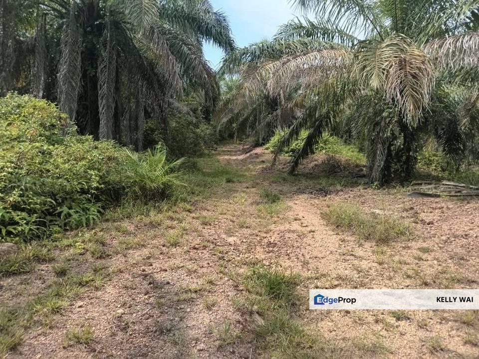 Johor @ Johol Air Mawah, Tampin 302 Acres Agricultural Land For Sale, Negeri Sembilan, Tampin