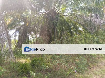 Johor @ Johol Air Mawah, Tampin 302 Acres Agricultural Land For Sale, Negeri Sembilan, Tampin