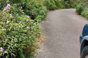 Negeri Sembilan @ Kota @ Rembau 125 Acres Agricultural Land For Sale