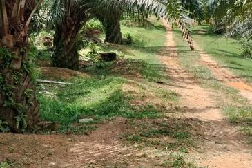 Negeri Sembilan @ Kota @ Rembau 125 Acres Agricultural Land For Sale