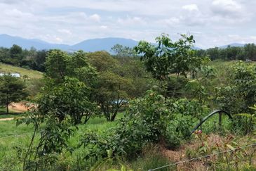 Negeri Sembilan @ Kota @ Rembau 125 Acres Agricultural Land For Sale