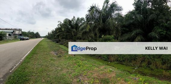  Pontian 7.7 Acres Agricultural Land For Sale, Johor, Pontian