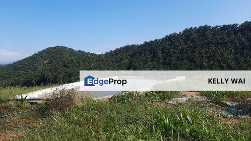 Negeri Sembilan @ Rembau 62 Acres Agricultural Land For Sale, Negeri Sembilan, Rembau