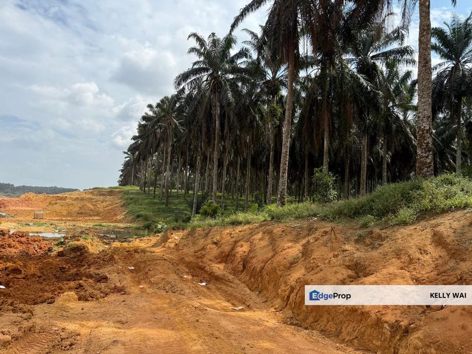 Johor @ Senai 7acres + 7acres Agricultural Land For Sale, Johor, Kulai