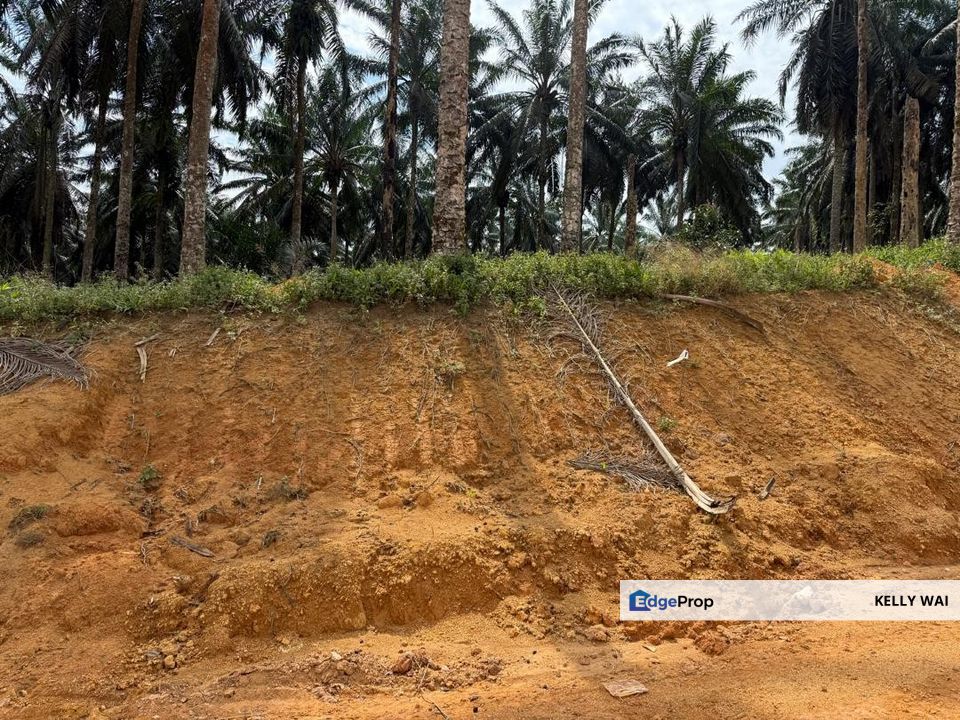 Johor @ Senai 7acres + 7acres Agricultural Land For Sale, Johor, Kulai