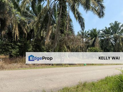 Johor @ Kulai 40 Acres Agricultural Land For Sale, Johor, Kulai