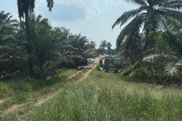 Jalan Sri Putri 4, Taman Putri Kulai