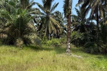 Jalan Sri Putri 4, Taman Putri Kulai