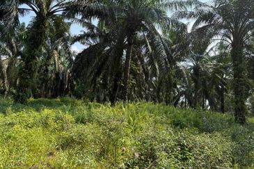 Jalan Sri Putri 4, Taman Putri Kulai