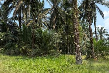 Jalan Sri Putri 4, Taman Putri Kulai