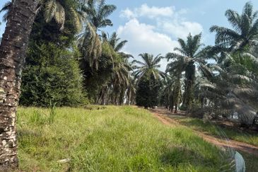 Jalan Sri Putri 4, Taman Putri Kulai