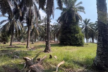 Jalan Sri Putri 4, Taman Putri Kulai