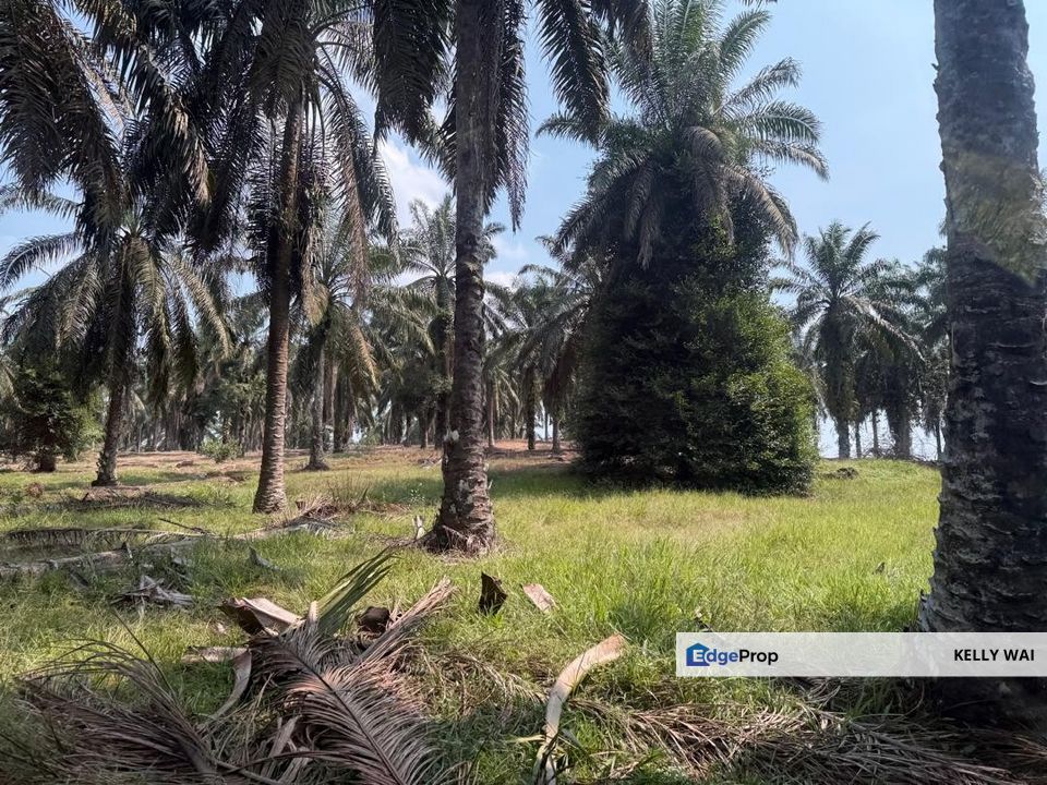 Johor @ Kulai 40 Acres Agricultural Land For Sale, Johor, Kulai