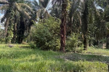 Jalan Sri Putri 4, Taman Putri Kulai