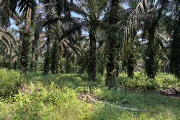 Jalan Sri Putri 4, Taman Putri Kulai