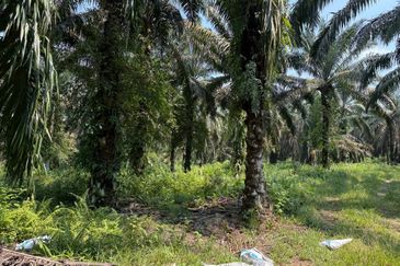 Jalan Sri Putri 4, Taman Putri Kulai