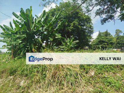 Yahya Awal @ JB Town 20,000 sqft Agricultural Land For Sale , Johor, Johor Bahru
