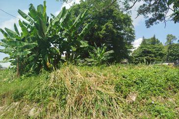 Yahya Awal @ JB Town 20,000 sqft Agricultural Land For Sale 